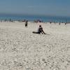 Here is a guy who is Living
the Dream! Sitting on the 
beach in Clearwater playin'
his guitfiddle!