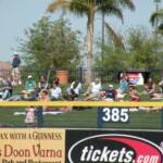 THE CHEAP SEATS OUT BEHIND THE HOME RUN FENCE IN THE GRASS.